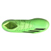 adidas X SPEEDPORTAL.1 IN Pánské sálovky, zelená, velikost 43 1/3