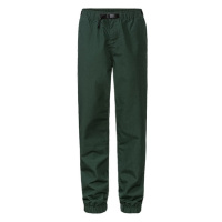 LIVERGY® Pánské cargo kalhoty (zelená)