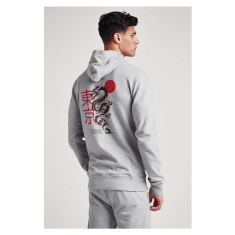 Mikina s Kapucí na Zip, Barva Šedá, s Potiskem Tokyo Rising Dragon Hedrix