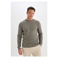 DEFACTO Standard Fit Crew Neck Sweater