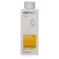 Framesi Morphosis Framesi Morphosi, regenerační šampon, 250 ml