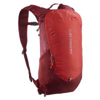 Salomon Trailblazer 10