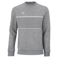 Pánská mikina Tecnifibre Club Sweater Silver