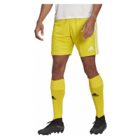 Pánské kraťasy Squadra 21 Short M GN5772 - Adidas