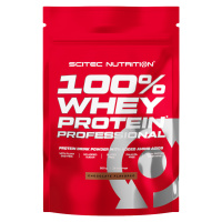 Scitec Nutrition 100% Whey Protein Professional 500 g vanilka-lesní ovoce