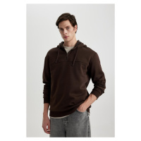 DEFACTO Comfort Fit Hooded Sweatshirt