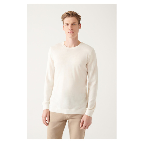 Avva Men's White Crew Neck Wool Blended Regular Fit Knitwear Sweater