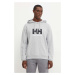 Bavlněná mikina Helly Hansen HH LOGO pánská, šedá barva, s kapucí, s potiskem, 30394