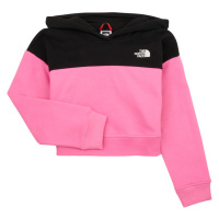 The North Face Girls Drew Peak Crop P/O Hoodie Růžová