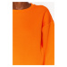 Trendyol Orange Relaxed Cut Crop Basic Crew Neck Thick Fleece Inside Knitted Sweatshirt