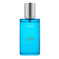 Davidoff Cool Water Wave toaletní voda pro muže 40 ml