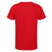 Pánské tričko Regatta CLINE IV červená