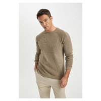 DEFACTO Men's Beige Standard Fit Regular Cut Crew Neck Warm Sweater