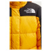 Péřová bunda The North Face HMLYN Down Parka dámská, žlutá barva, zimní, NF0A4R2W56P1