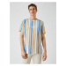 Koton Striped Embroidered T-Shirt