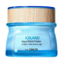 THE SAEM - ICELAND AQUA MOIST CREAM - Intenzivně hydratační krém 60 ml