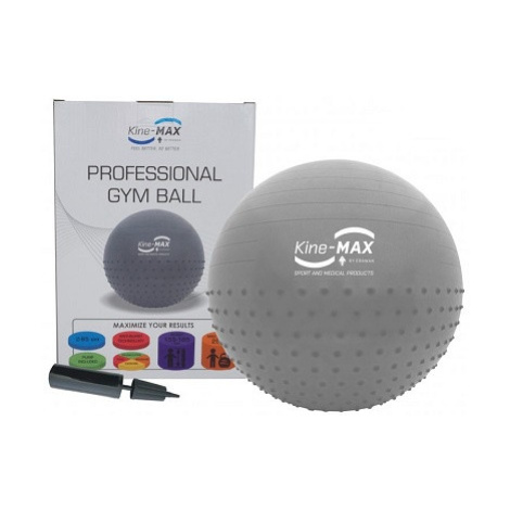 Kine-MAX Professional Gym Ball (gymnastický míč 65 cm) - stříbrná