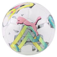 Puma ORTA 6 MS MN Mini fotbalový míč, bílá, velikost