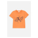 Dětské bavlněné tričko Coccodrillo oranžová barva, s potiskem