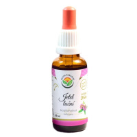 Salvia Paradise Jetel luční AF tinktura 30 ml