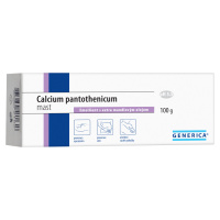 Generica Calcium pantothenicum mast 100 g