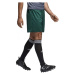 adidas PARMA 16 SHORTS Fotbalové trenky, tmavě zelená, velikost