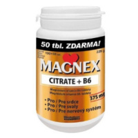 Vitabalans Magnex citrate 375 mg+B6 150 tablet
