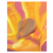 Bondi Sands Technocolor 1 Hour Express Caramel samoopalovací pěna odstín Warm Hydrated Glow 200 