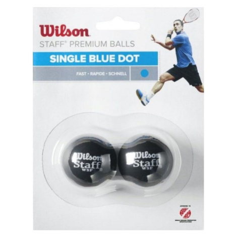 Wilson STAFF SQUASH 2 BALL BLU DOT Squashový míček, modrá, velikost