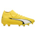 Fotbalové boty Puma Ultra Pro FG/AG M 107422 04