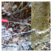Kapesní řetězová pila Nordic Pocket Saw pila Barva: zelená