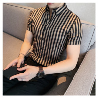 Pruhovaná pánská košile s krátkým a dlouhým rukávem