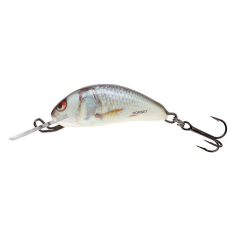 Salmo Wobler Hornet Floating 5cm - Real Dace