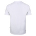 Pánské bavlněné tričko Dare2b ASSERTION bílá