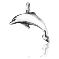 Stříbrný přívěsek 925 - lesklý delfín s patinou