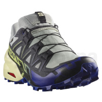 Salomon Speedcross 6 GTX M L47584000 - wrought iron/clematis blue/sharp green