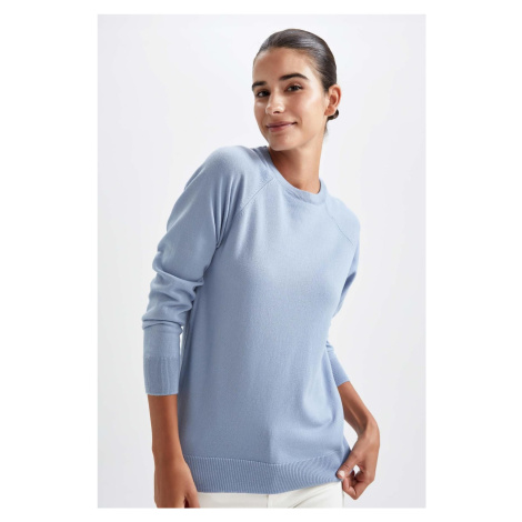 DEFACTO Regular Fit Crew Neck Sweater