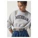 Happiness İstanbul Women's Gray Printed Crop Knitted Sweatshirt