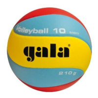 Gala Volleyball 10 BV 5551 S - 210g