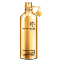 Montale Attar - EDP 100 ml