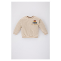 DEFACTO Baby Boy Printed Crew Neck Soft Fuzzy Sweatshirt