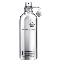 Montale Fantastic Basilic - EDP 100 ml