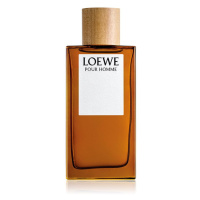 Loewe Loewe Pour Homme toaletní voda pro muže 150 ml