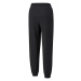 Puma SWxP Sweatpants TR Dámské tepláky US 533567-01