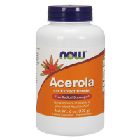 Now® Foods NOW Acerola prášek, přírodní vitamin C, 170 g (6 oz)