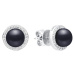 Gaura Pearls Stříbrné náušnice s černou 6-6.5 mm perlou Armonda, stříbro 925/1000 SK21483E/B Čer