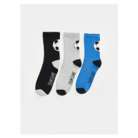 LC Waikiki 3-Pack Boy Patterned Socks