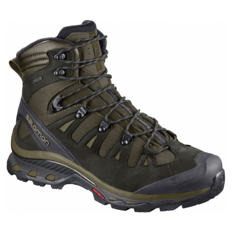 Salomon Quest 4D 3 GTX Grape Leaf/Peat/Burnt Olive