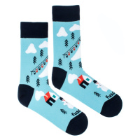 Ponožky Zimní krása Fusakle