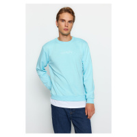 Trendyol Mint Men's Regular/Real Fit Crew Neck Sweatshirt